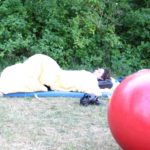 Toussini Zirkus Backstage Galerie