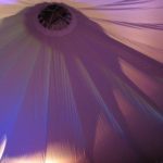 Toussini Zirkus Indoor Zirkuszelt