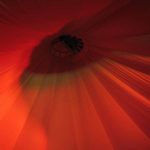 Toussini Zirkus Indoor Zirkuszelt