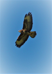 Klassenfahrt Wildpark Eekholt Partnerangebot